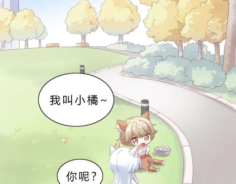 猫爪之下韩漫全集-第61话 合作无删减无遮挡章节图片 