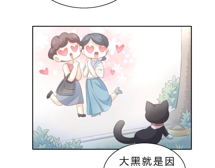 猫爪之下韩漫全集-第61话 合作无删减无遮挡章节图片 