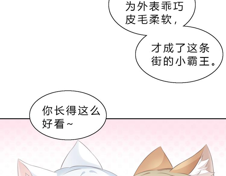 猫爪之下韩漫全集-第61话 合作无删减无遮挡章节图片 