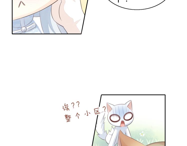 猫爪之下韩漫全集-第61话 合作无删减无遮挡章节图片 