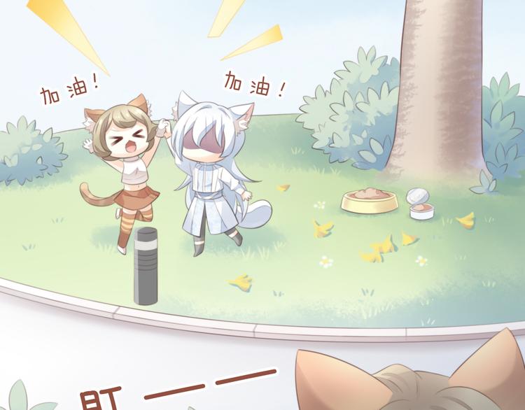猫爪之下韩漫全集-第61话 合作无删减无遮挡章节图片 
