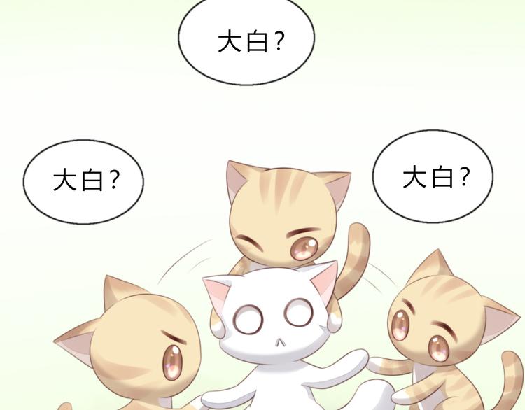 猫爪之下韩漫全集-第61话 合作无删减无遮挡章节图片 