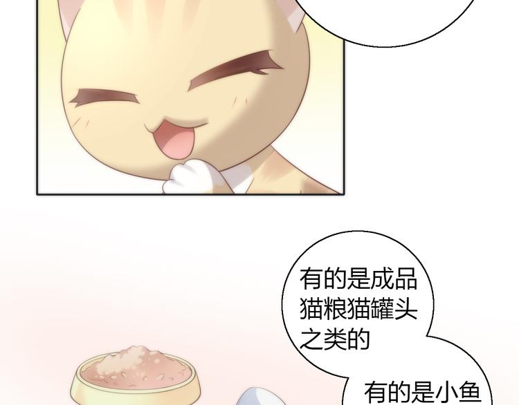 猫爪之下韩漫全集-第62话 颜值至上无删减无遮挡章节图片 