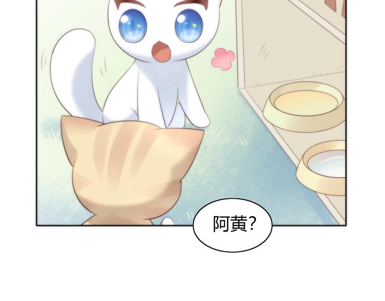 猫爪之下韩漫全集-第62话 颜值至上无删减无遮挡章节图片 