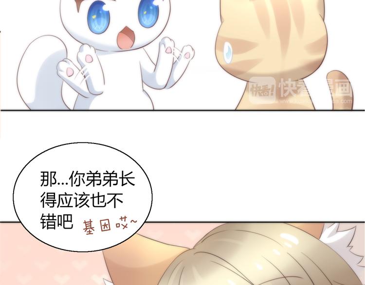 猫爪之下韩漫全集-第62话 颜值至上无删减无遮挡章节图片 