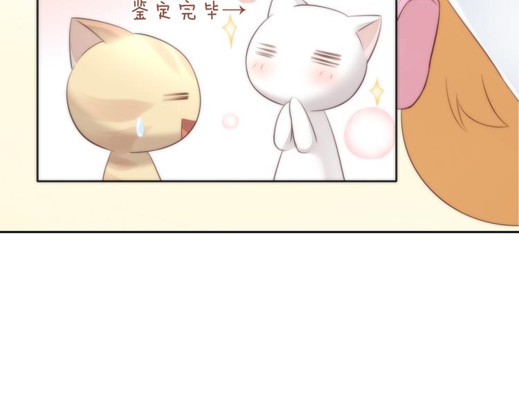 猫爪之下韩漫全集-第62话 颜值至上无删减无遮挡章节图片 