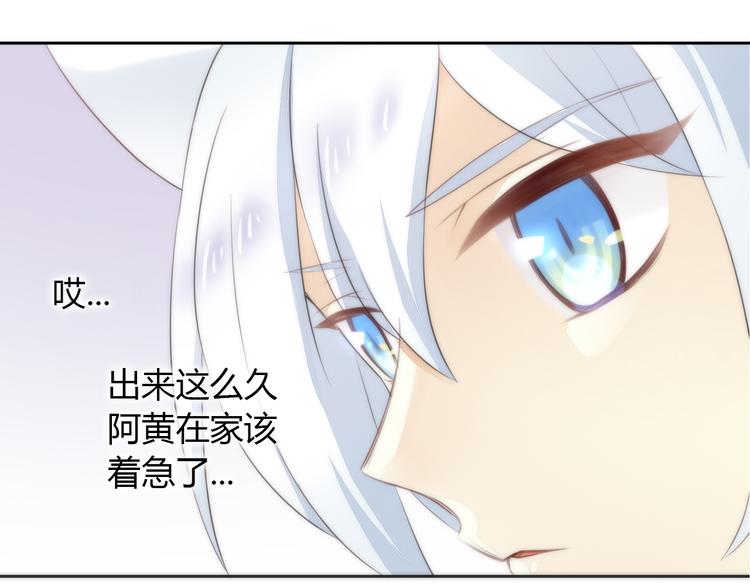 猫爪之下韩漫全集-第62话 颜值至上无删减无遮挡章节图片 