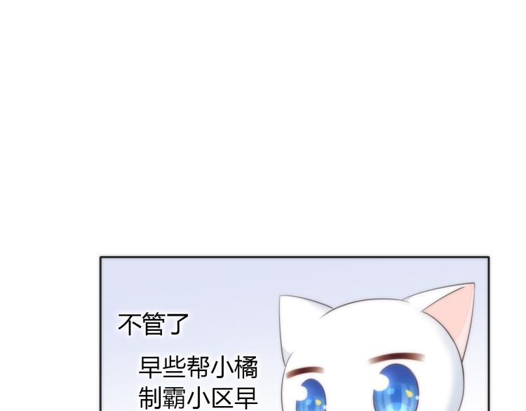 猫爪之下韩漫全集-第62话 颜值至上无删减无遮挡章节图片 