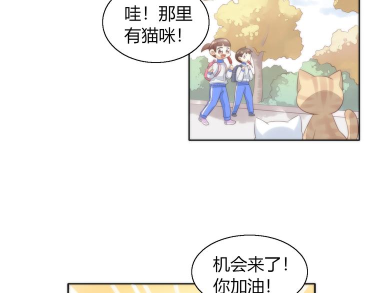 猫爪之下韩漫全集-第62话 颜值至上无删减无遮挡章节图片 