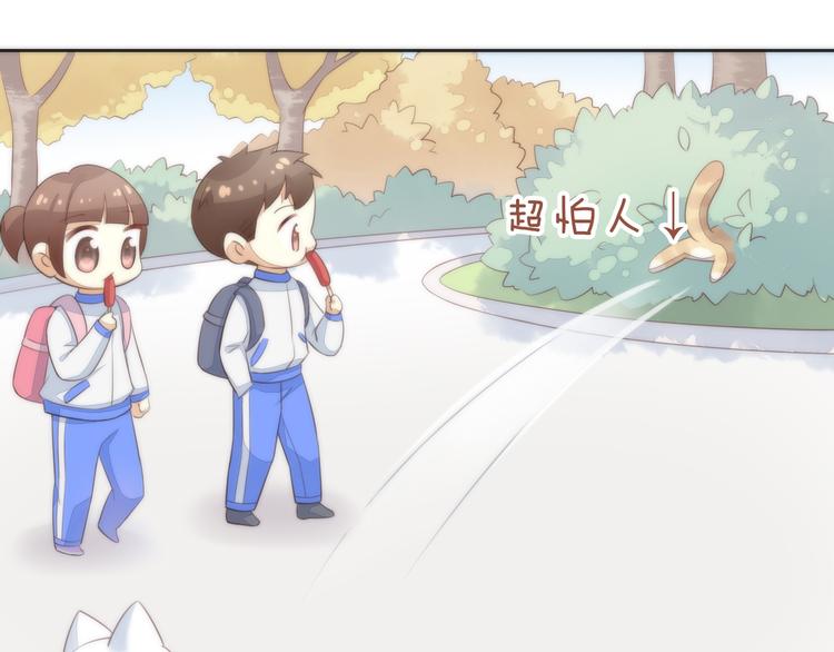 猫爪之下韩漫全集-第62话 颜值至上无删减无遮挡章节图片 