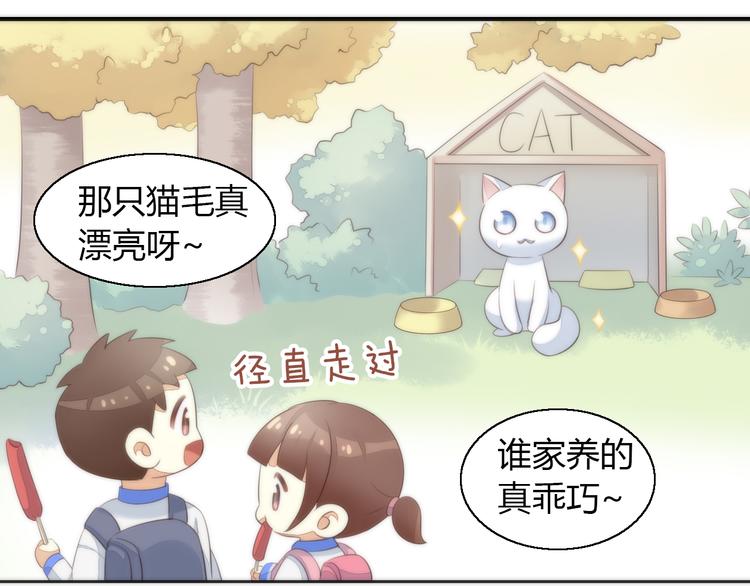 猫爪之下韩漫全集-第62话 颜值至上无删减无遮挡章节图片 