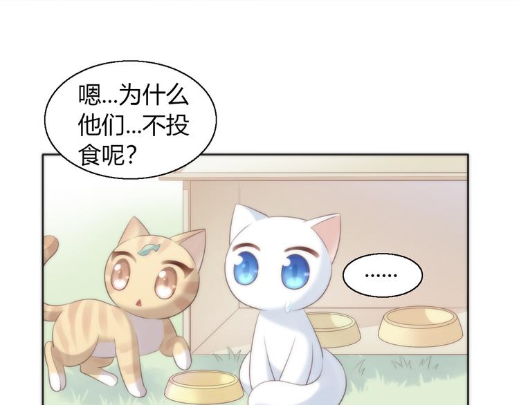 猫爪之下韩漫全集-第62话 颜值至上无删减无遮挡章节图片 