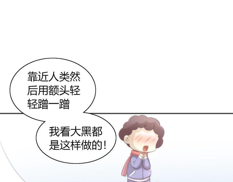 猫爪之下韩漫全集-第62话 颜值至上无删减无遮挡章节图片 