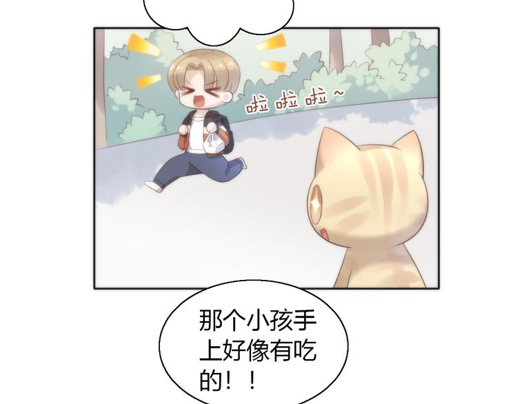 猫爪之下韩漫全集-第62话 颜值至上无删减无遮挡章节图片 