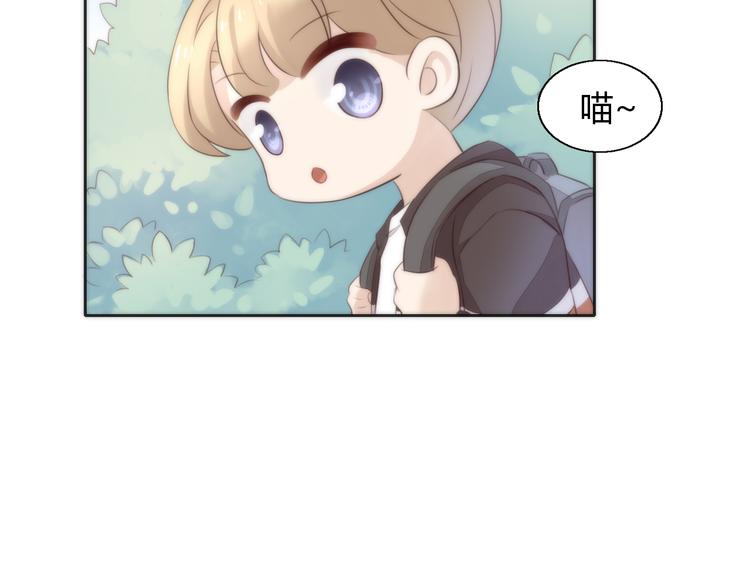 猫爪之下韩漫全集-第62话 颜值至上无删减无遮挡章节图片 