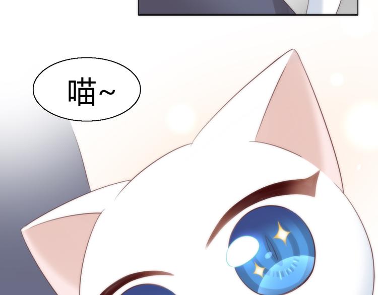 猫爪之下韩漫全集-第62话 颜值至上无删减无遮挡章节图片 