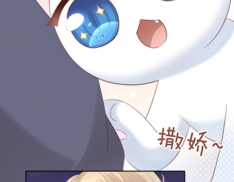 猫爪之下韩漫全集-第62话 颜值至上无删减无遮挡章节图片 