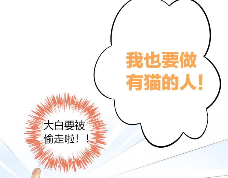 猫爪之下韩漫全集-第62话 颜值至上无删减无遮挡章节图片 