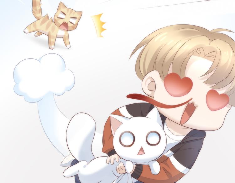 猫爪之下韩漫全集-第62话 颜值至上无删减无遮挡章节图片 