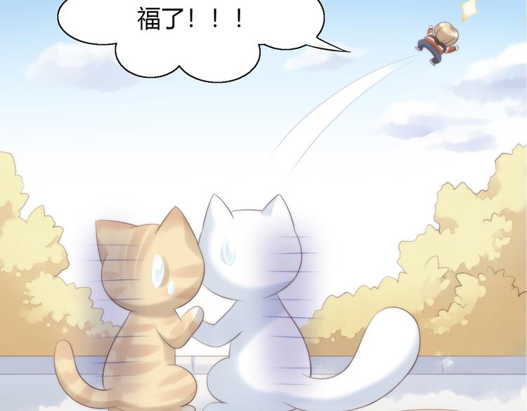 猫爪之下韩漫全集-第62话 颜值至上无删减无遮挡章节图片 