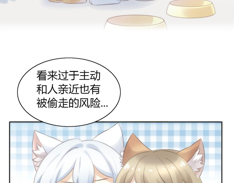 猫爪之下韩漫全集-第62话 颜值至上无删减无遮挡章节图片 
