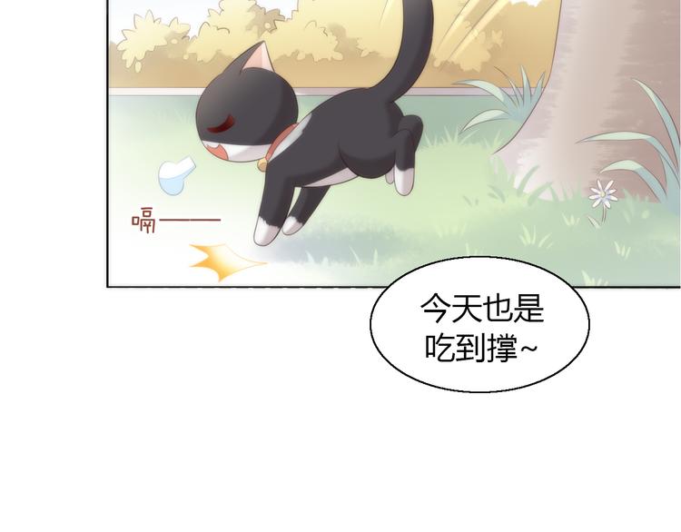 猫爪之下韩漫全集-第62话 颜值至上无删减无遮挡章节图片 