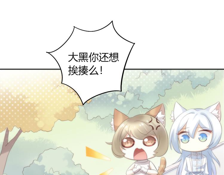 猫爪之下韩漫全集-第62话 颜值至上无删减无遮挡章节图片 
