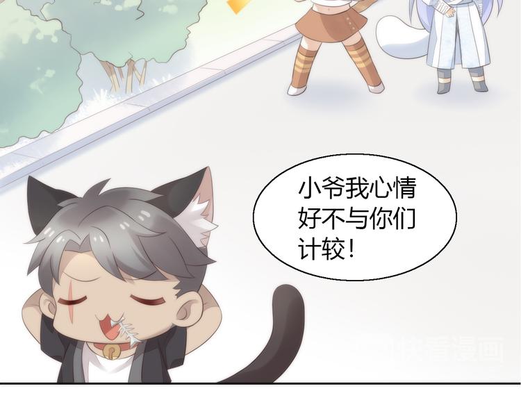 猫爪之下韩漫全集-第62话 颜值至上无删减无遮挡章节图片 