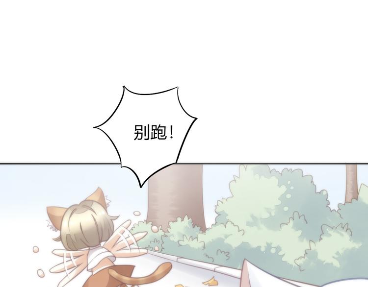 猫爪之下韩漫全集-第62话 颜值至上无删减无遮挡章节图片 