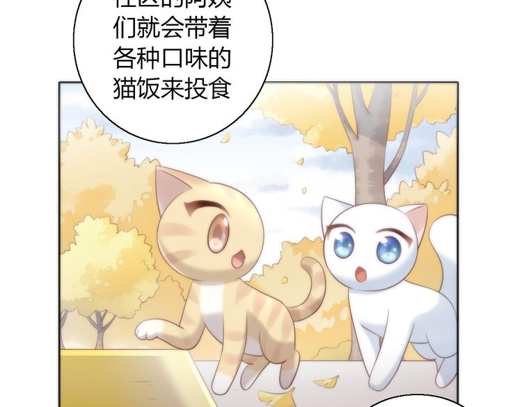 猫爪之下韩漫全集-第62话 颜值至上无删减无遮挡章节图片 