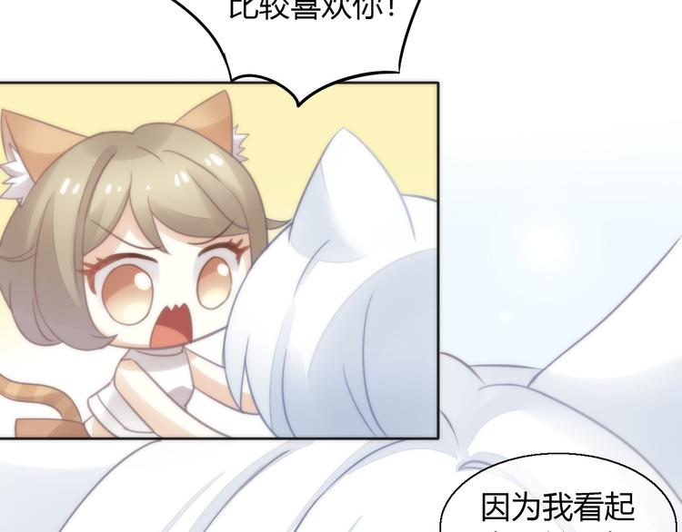 猫爪之下韩漫全集-第62话 颜值至上无删减无遮挡章节图片 