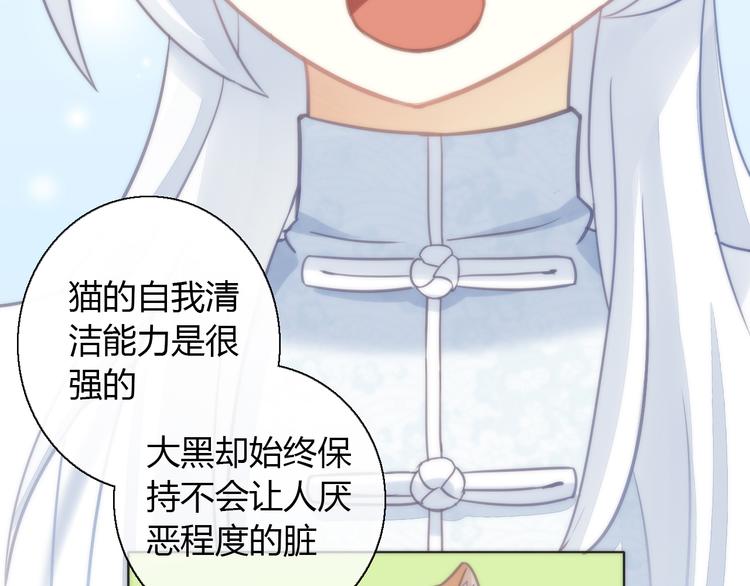 猫爪之下韩漫全集-第62话 颜值至上无删减无遮挡章节图片 
