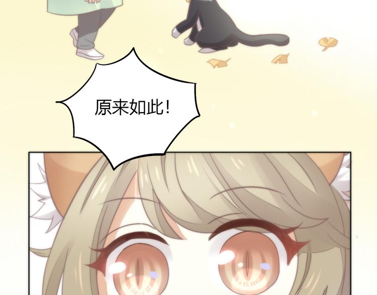 猫爪之下韩漫全集-第62话 颜值至上无删减无遮挡章节图片 