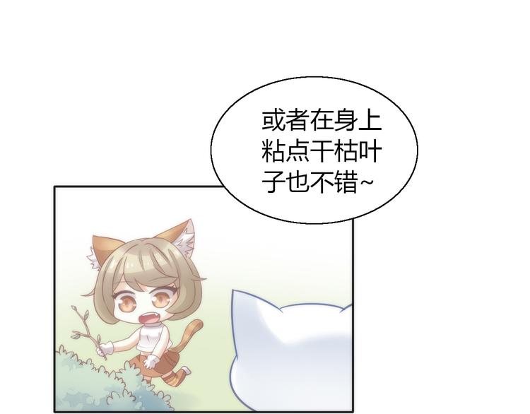 猫爪之下韩漫全集-第62话 颜值至上无删减无遮挡章节图片 