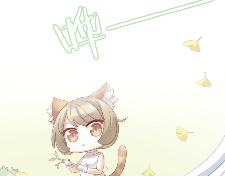 猫爪之下韩漫全集-第62话 颜值至上无删减无遮挡章节图片 