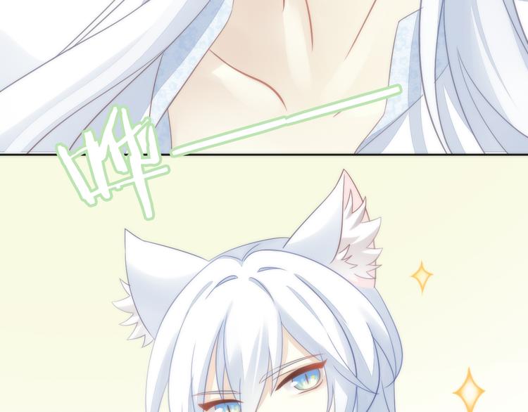 猫爪之下韩漫全集-第62话 颜值至上无删减无遮挡章节图片 