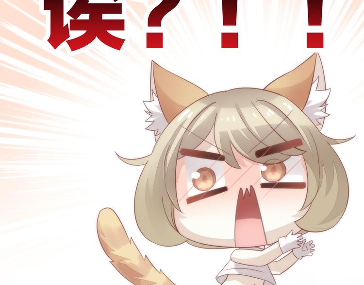 猫爪之下韩漫全集-第62话 颜值至上无删减无遮挡章节图片 