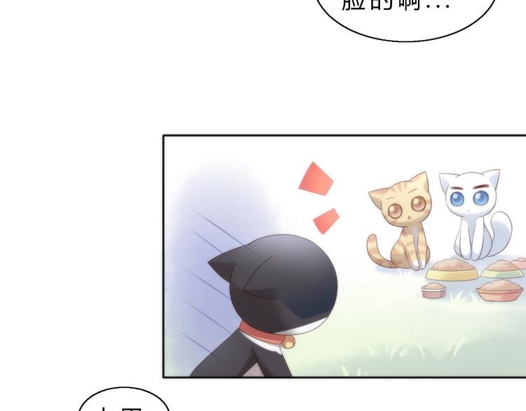 猫爪之下韩漫全集-第63话 她的秘密无删减无遮挡章节图片 