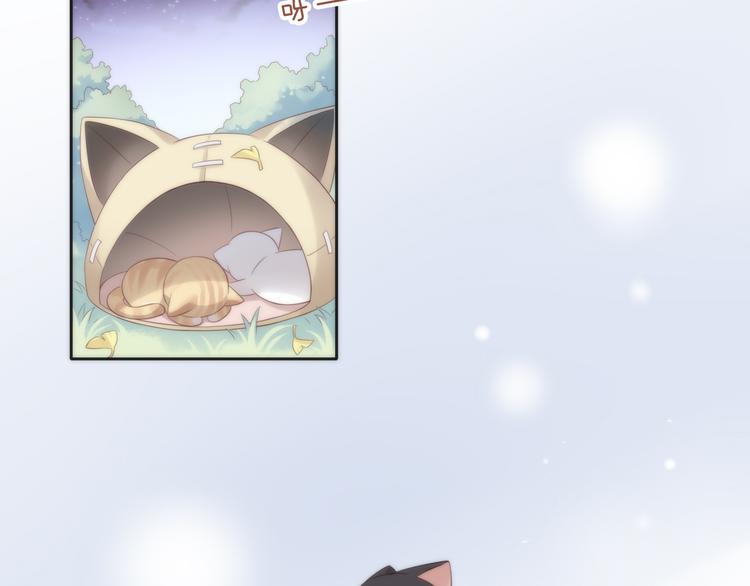 猫爪之下韩漫全集-第63话 她的秘密无删减无遮挡章节图片 