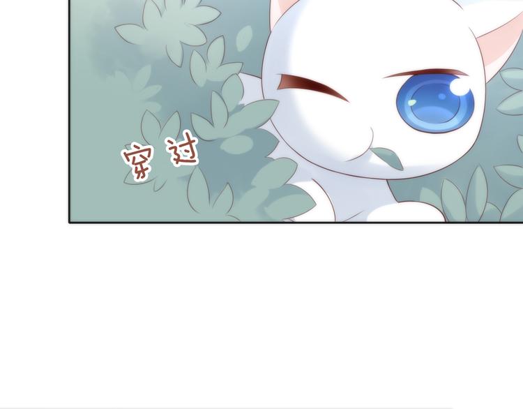猫爪之下韩漫全集-第63话 她的秘密无删减无遮挡章节图片 