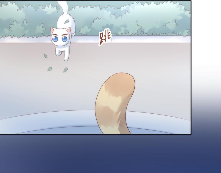 猫爪之下韩漫全集-第63话 她的秘密无删减无遮挡章节图片 