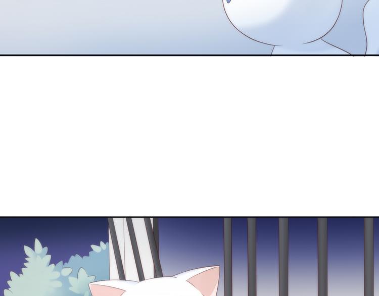 猫爪之下韩漫全集-第63话 她的秘密无删减无遮挡章节图片 