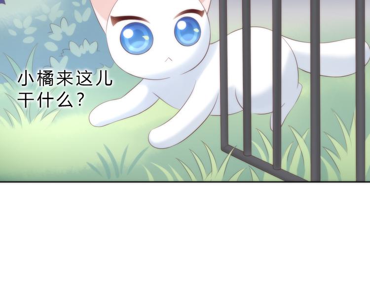 猫爪之下韩漫全集-第63话 她的秘密无删减无遮挡章节图片 