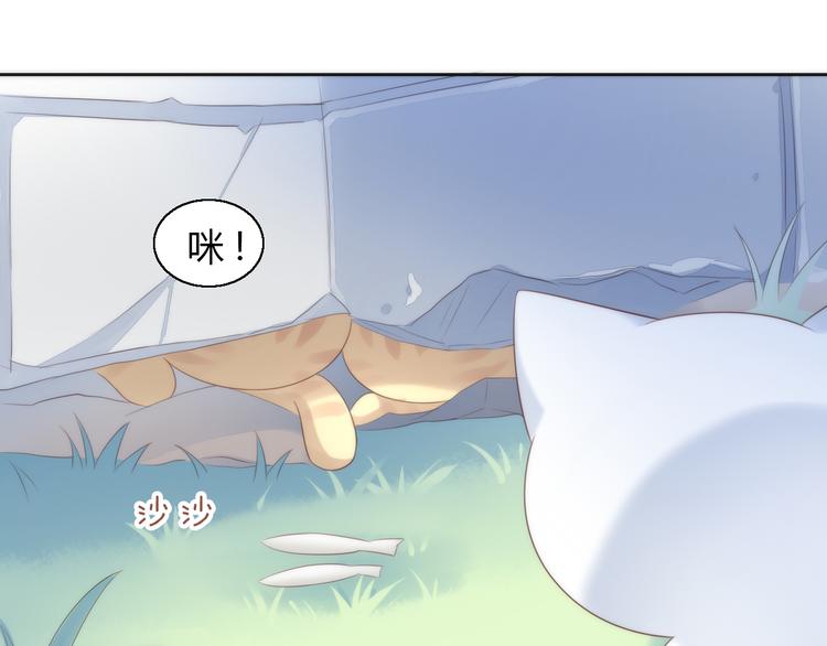 猫爪之下韩漫全集-第63话 她的秘密无删减无遮挡章节图片 