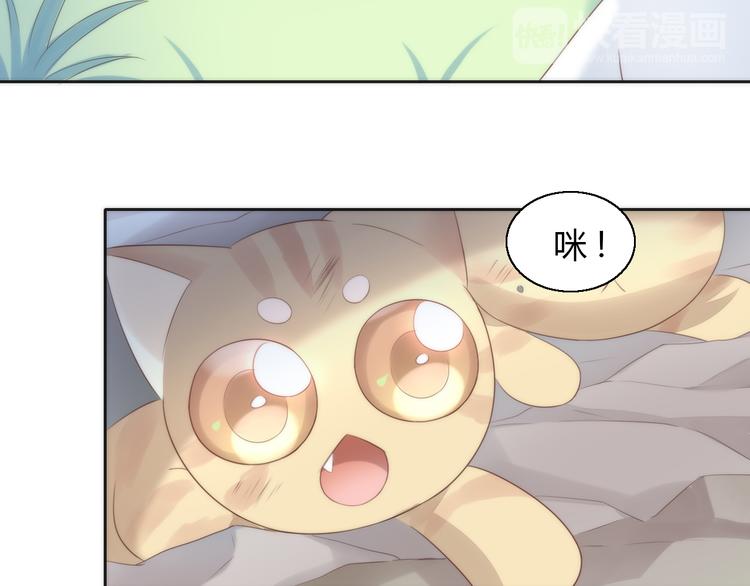 猫爪之下韩漫全集-第63话 她的秘密无删减无遮挡章节图片 