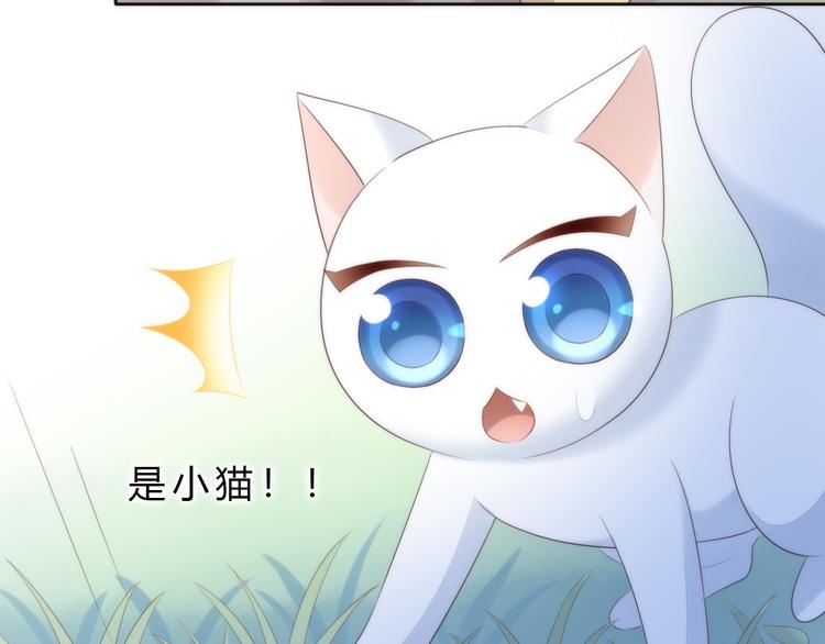 猫爪之下韩漫全集-第63话 她的秘密无删减无遮挡章节图片 
