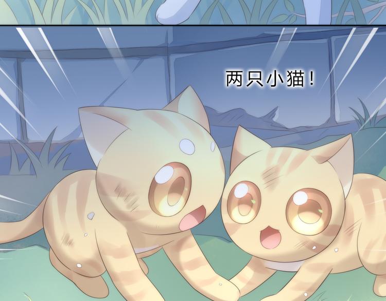 猫爪之下韩漫全集-第63话 她的秘密无删减无遮挡章节图片 