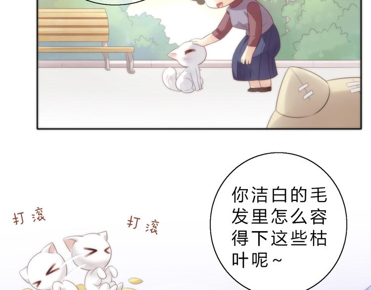 猫爪之下韩漫全集-第63话 她的秘密无删减无遮挡章节图片 