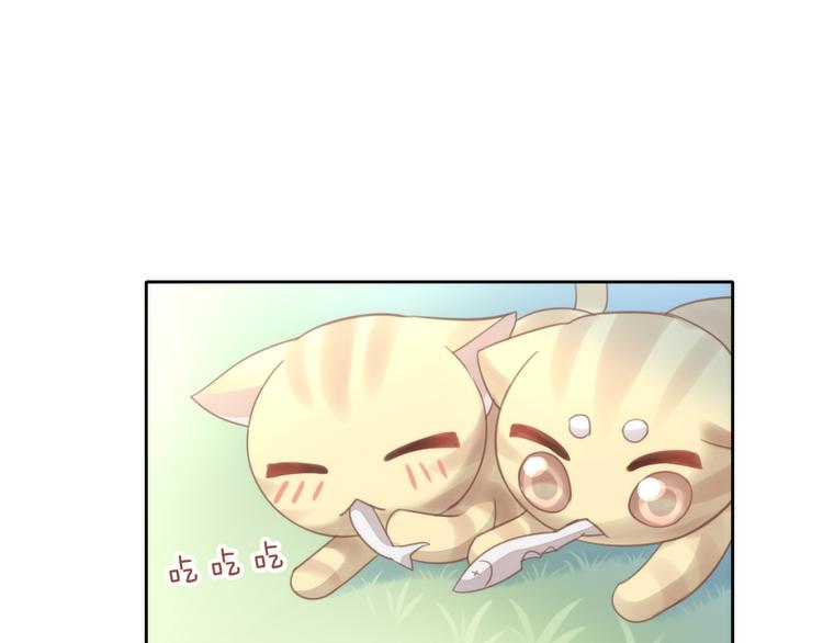 猫爪之下韩漫全集-第64话 不速之客无删减无遮挡章节图片 