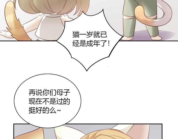 猫爪之下韩漫全集-第65话 真相无删减无遮挡章节图片 